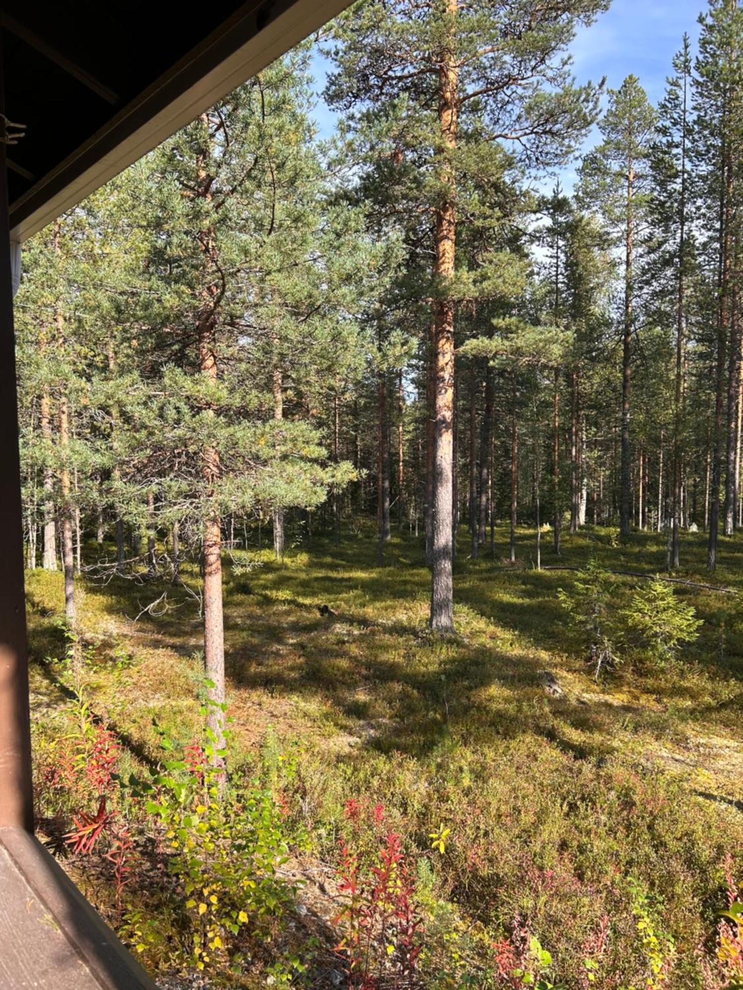 Unelmasaeleikkoe 2 Kittilä Esterno foto